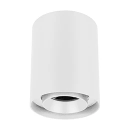 Фото #1 товара Светильник SP-FOCUS-R110-18W Day4000 (WH, 15 deg, 230V) (Arlight, IP54 Металл, 5 лет)