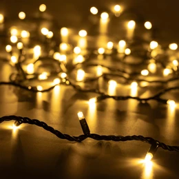 Фото #1 товара Светодиодная гирлянда ARD-STRING-PRO-10000-GREEN-100LED-FLASH WARM (230V, 7W) (Ardecoled, IP65)