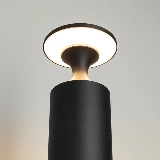 Фото #3 товара Светильник LGD-LONDARI-BOLL-H900-12W Warm3000 (BK, 125 deg, 230V) (Arlight, IP65 Металл, 3 года)