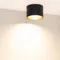 Минифото #4 товара Светильник SP-BISCOTTO-R120-12W Warm3300-MIX (BK-GD, 80 deg, 230V) (Arlight, IP54 Металл, 5 лет)